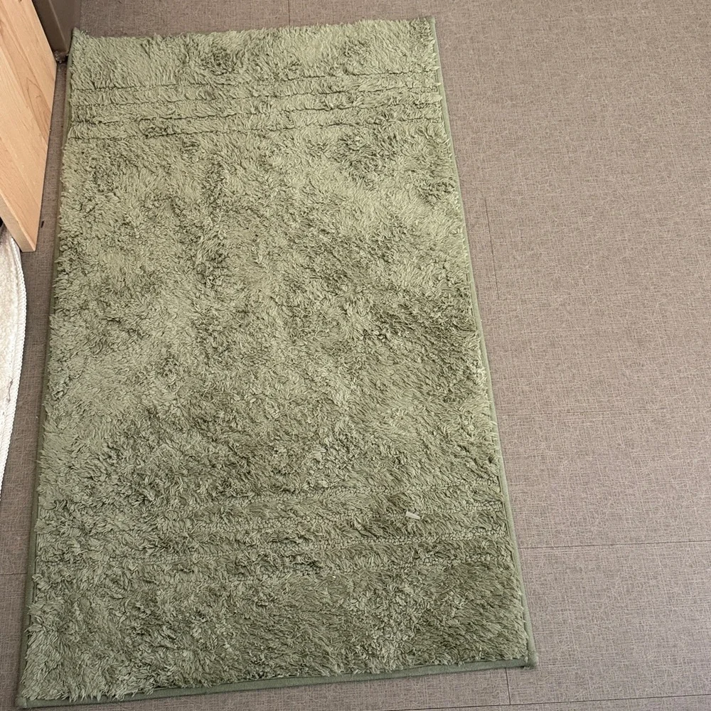 Threshold Olive Rug
